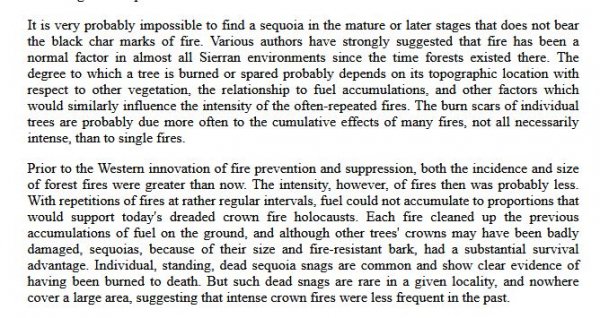 sequoia fire synopsis.JPG