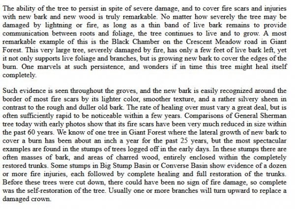 sequoia fire synopsis - 2.JPG