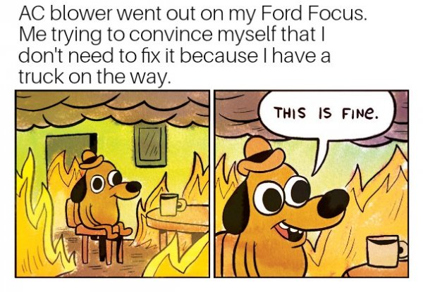 This is fine 25082021022117.jpg