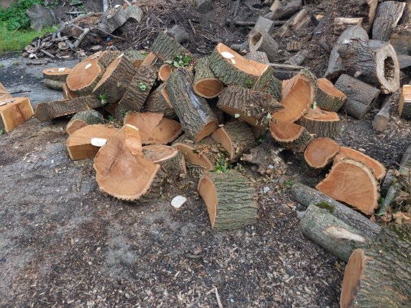 2021-09-16 08.43.30.jpg