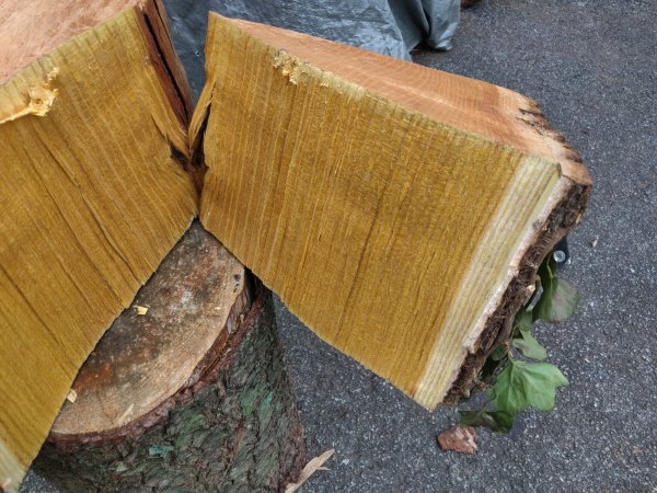 2021-09-17 08.34.55.jpg