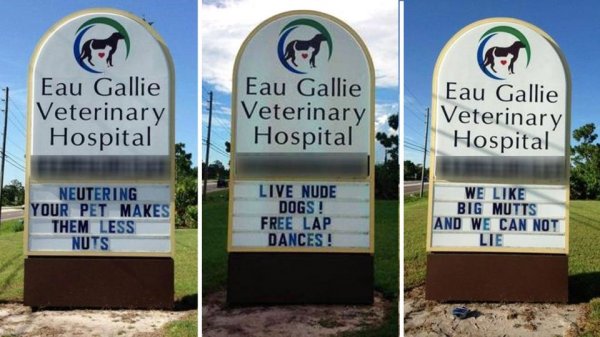 Vet signs.jpg