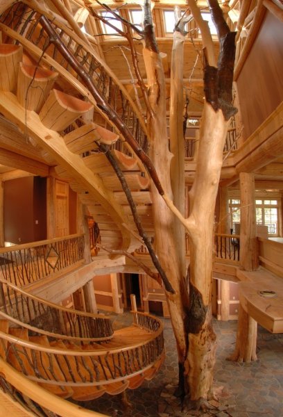 eb2c1991d18c7467d259e37ee3c20030--treehouses-logs.jpg