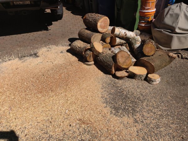 2021-09-25 12.39.39.jpg