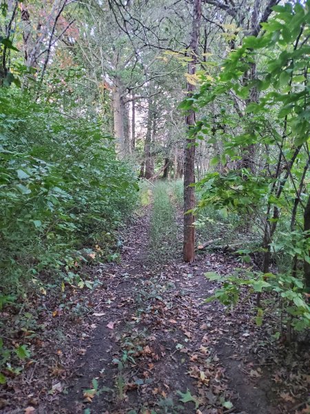 20210925_191108.jpg