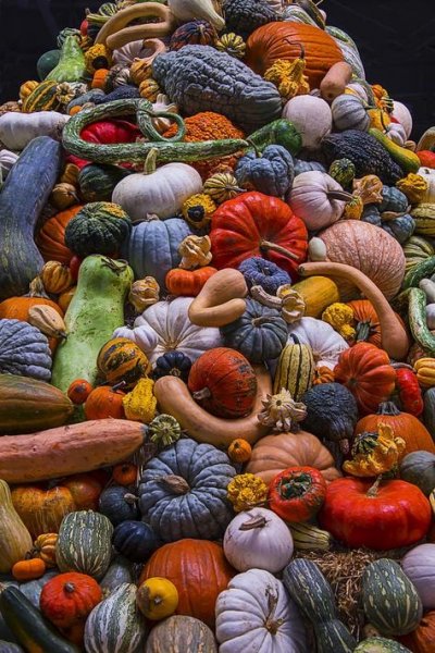 colorfulGourds.jpg
