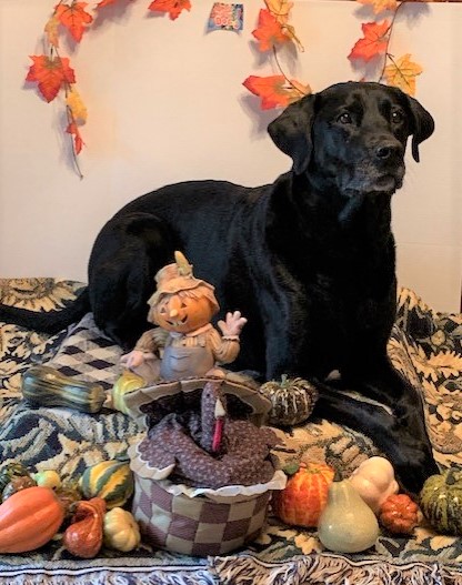 Thanksgiving 2 cropped 2021.jpg