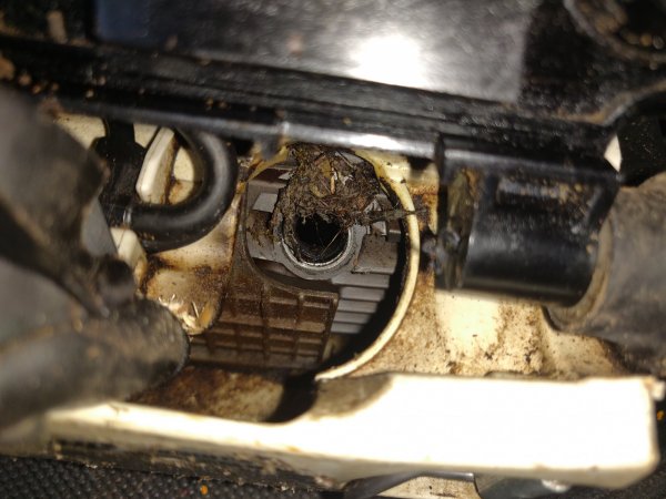 2021-10-12 14.34.35.jpg