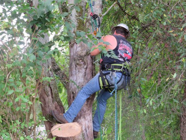 IMG_0669.JPG