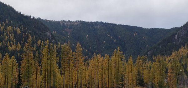 20211016_090759.jpg