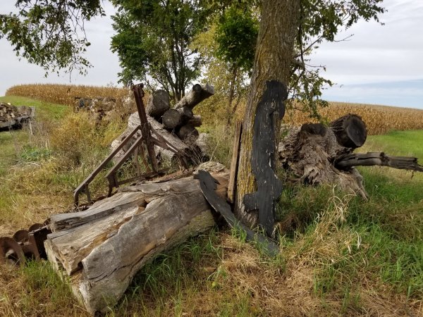 Another view 10 Oct.jpg