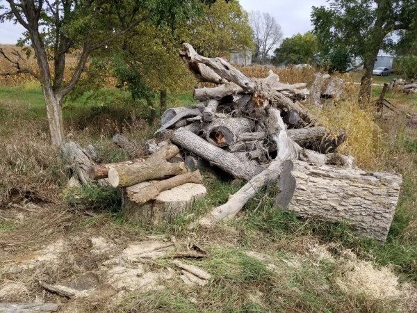 Pile after 10 Oct 1.jpg