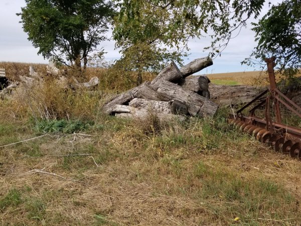 Pile after 10 Oct far.jpg