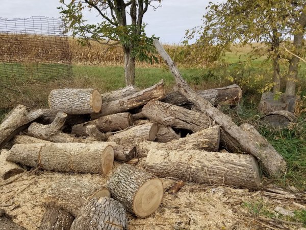 Pile after 23 Oct 21.jpg