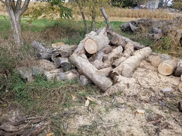 Pile after 23 Oct side.jpg