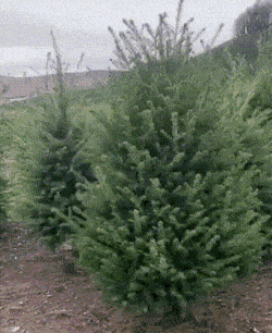 daily_gifdump_3679_27.gif