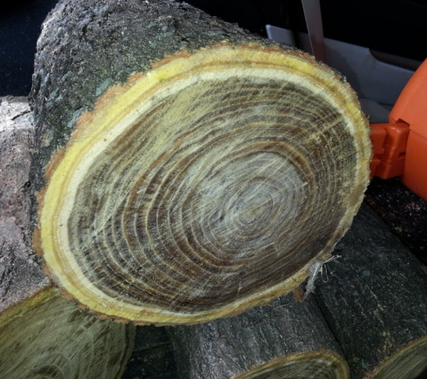 2014-10-09 13.23.25.png