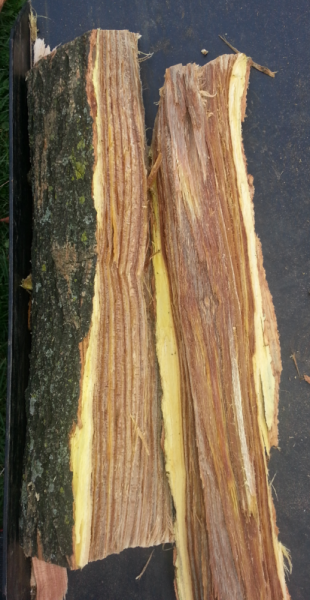 2014-10-10 18.09.44.png