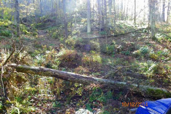 101_0186.JPG