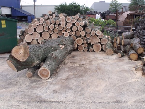 all pic to date 351.jpg