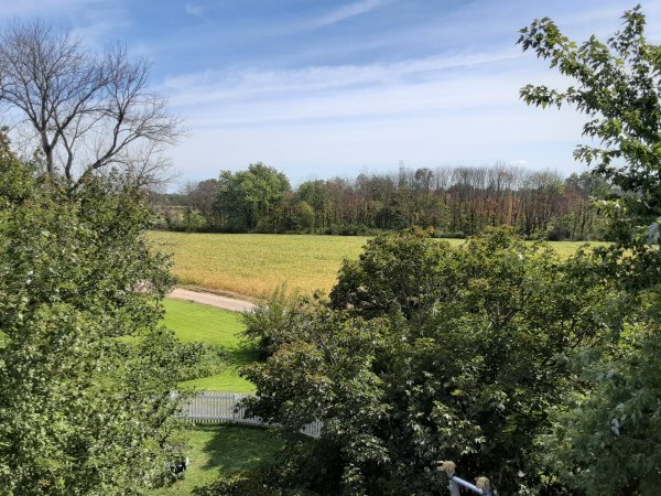 Sitting on roof after cleaning chimney.jpg