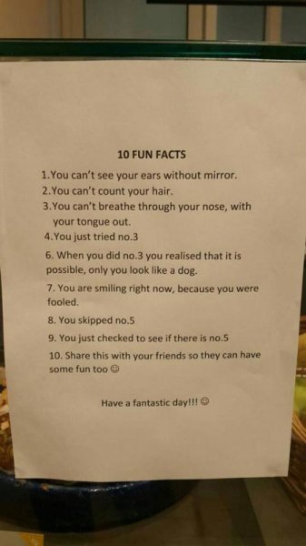 10 fun facts.jpg