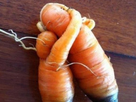 Happy carrots.jpg