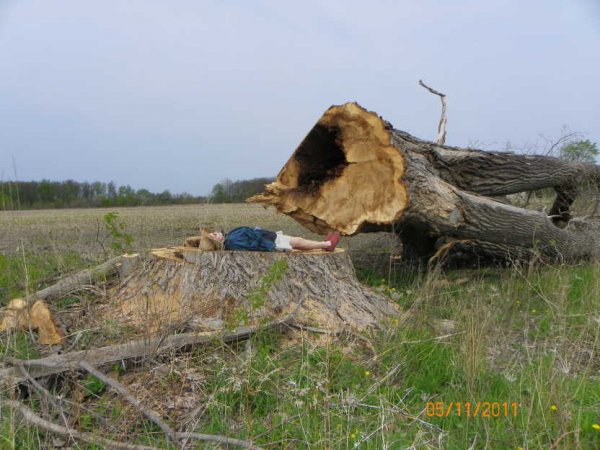 Judy & cottonwood laying.JPG