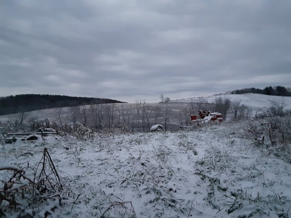 20211130_071124.jpg
