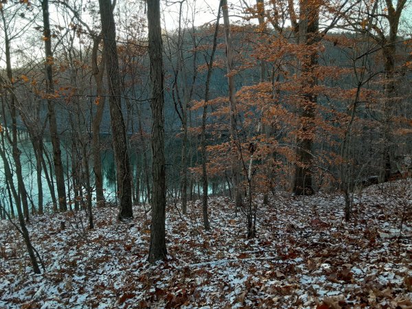 20211129_082249.jpg