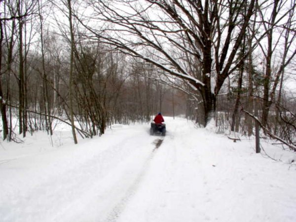 3_1_05_snow.JPG