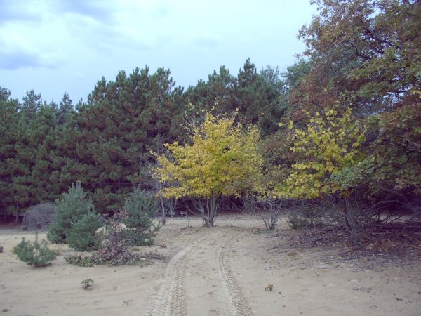 10-2-06e.JPG