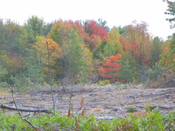 10-2-2012b.JPG