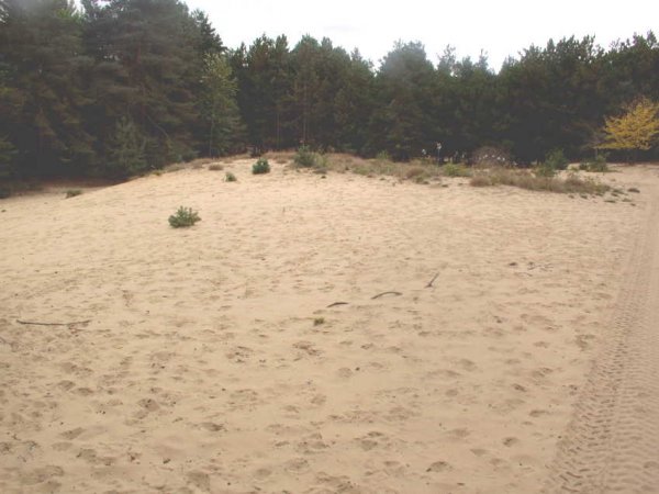 Sand looking west.JPG