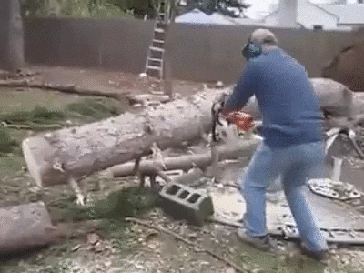 giphy (12).gif