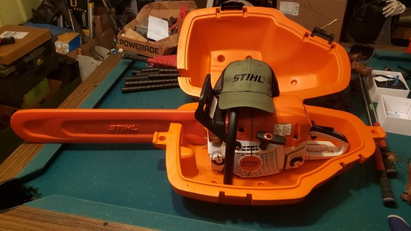 stihl ms400cm in case.jpg