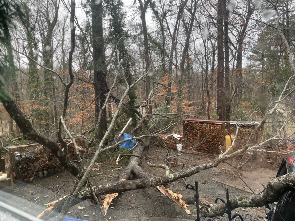 Screen Shot 2022-01-03 at 12.19.29 PM.png