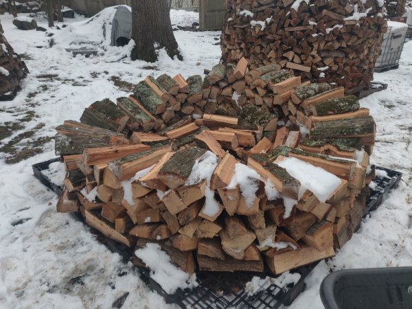 2022-01-09 15.14.40.jpg