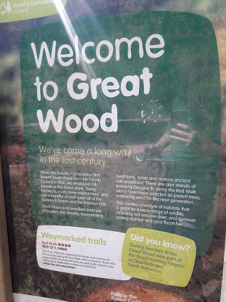 Great Wood Board_0.jpg