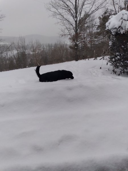 20220118_075559.jpg