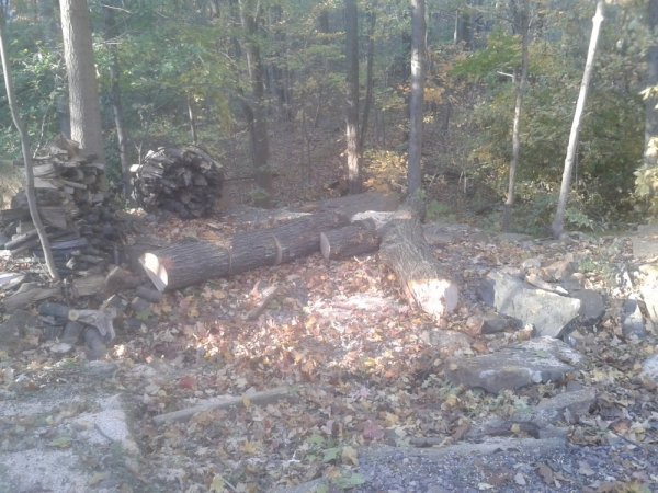 20141019_165553.jpg