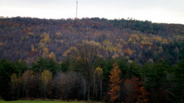 100_0004.JPG