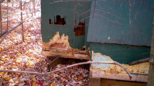 100_0026.JPG
