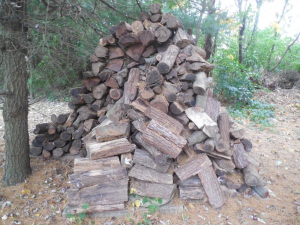pile wood 2.JPG