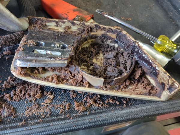 2022-01-19 14.59.32.jpg