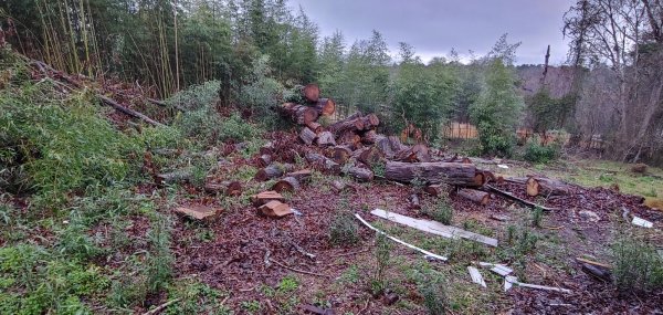 0120221736_HDR.jpg