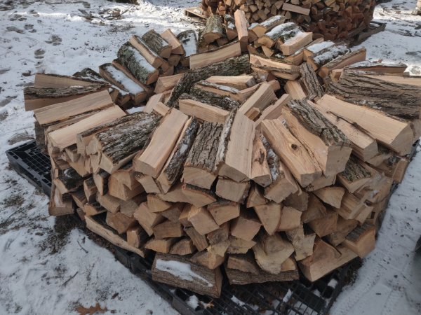 2022-01-23 10.24.20.jpg