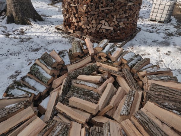 2022-01-23 10.24.24.jpg