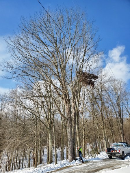 20220123_101743.jpg