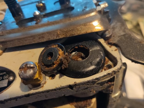 2022-01-26 16.16.56.jpg